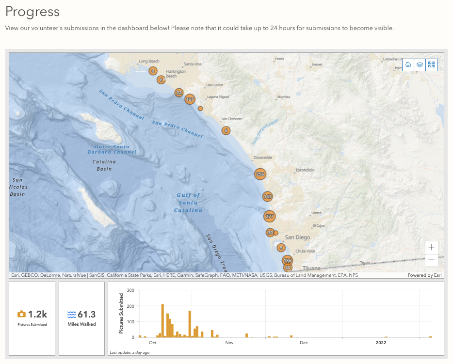 Interactive Dashboard